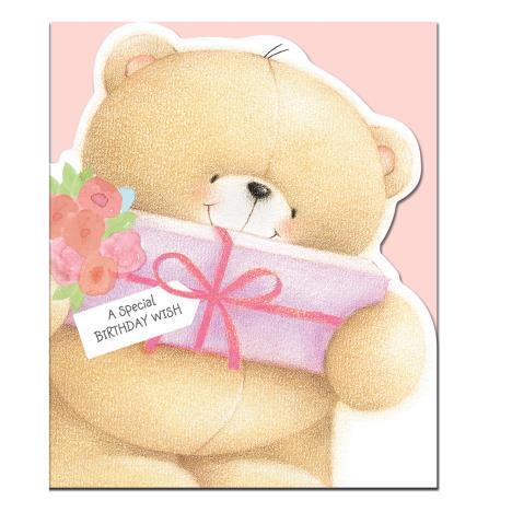 Special Birthday Wish Forever Friends Card